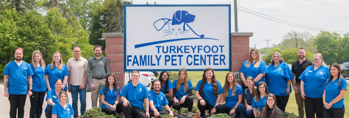 The family pet veterinary 2024 hospital