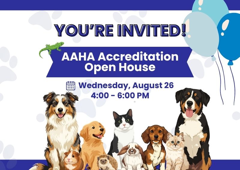 Carousel Slide 2: AAHA Open House