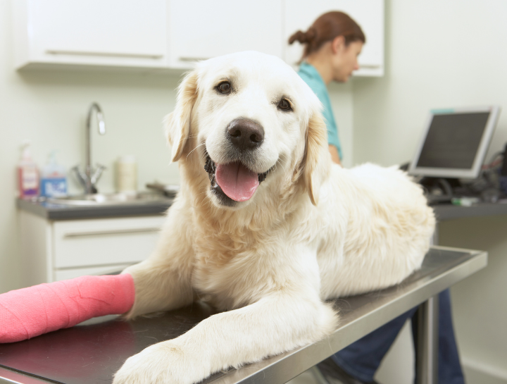 Preanesthetic Anxiety & Nausea Relief